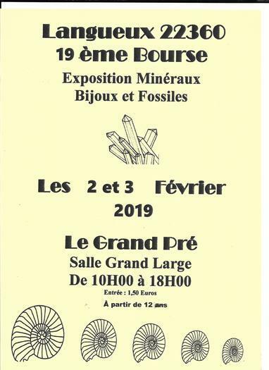 19th Exchange Exposure minerals and fossils Langueux Côtes D'Armor
