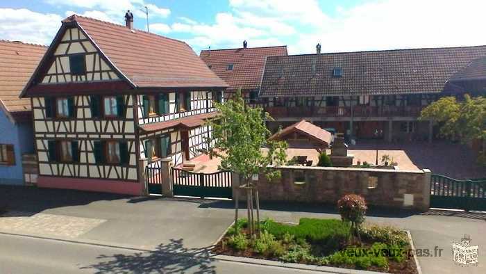 gite Krauffel 4 à 8 personnes en Alsace près d'Obernai