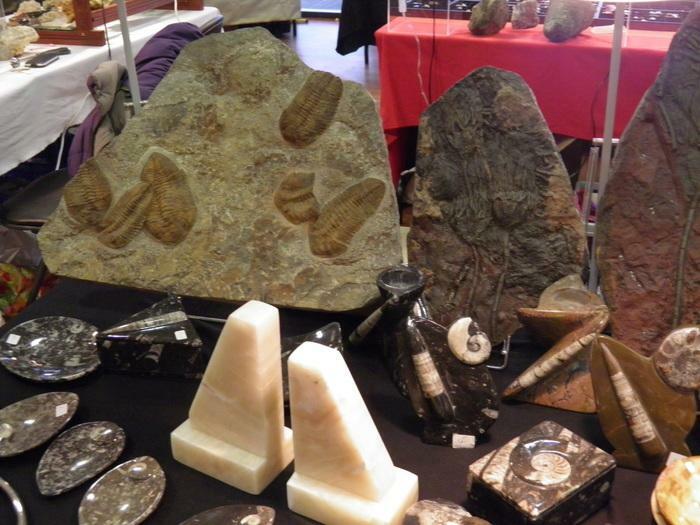 19ème Bourse exposition de minéraux et fossiles de Langueux Côtes D’Armor