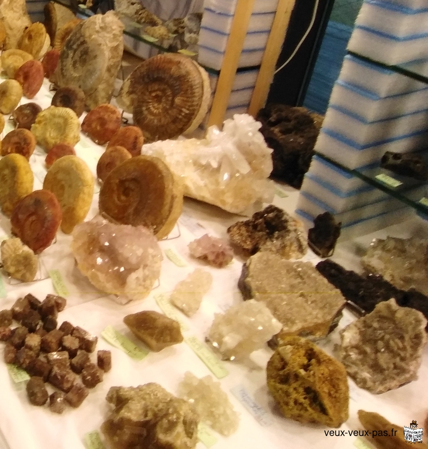 23ème Salon exposition de minéraux et fossiles de Langueux Côtes D’Armor