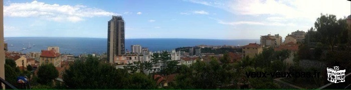Bel appartement avec vue sur la mer et Monaco
