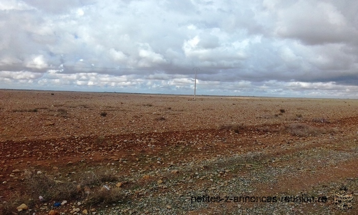 Formidable terrain titré agricole 140 ha pour oliviers