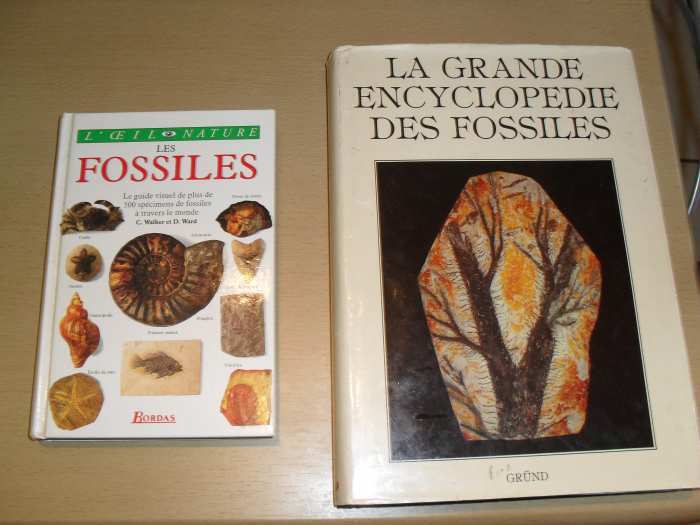 Livres sur la gueurre des blindés, la mythologie, les fossiles