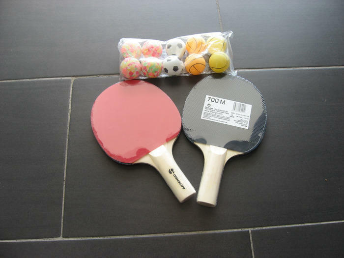Vends Palmes + Raquettes Ping Pong
