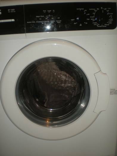 Vends machine à laver neuve (8mois) encore sous garantie