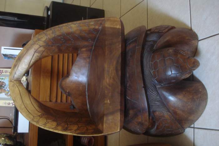 superbe chaise tortue