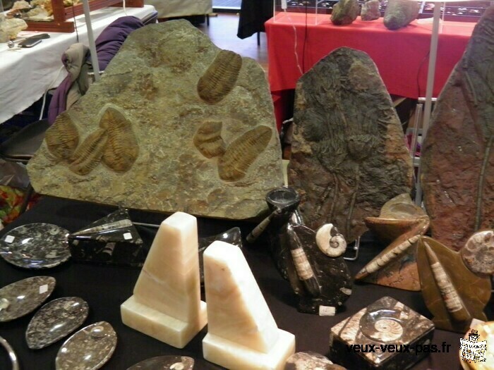 21ème Salon exposition de minéraux, bijoux et fossiles, trésors de la terre