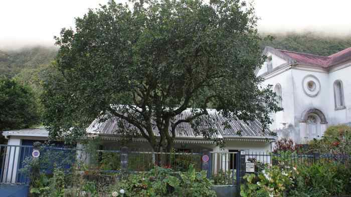 Maison Salazie non jumelée avec jardin