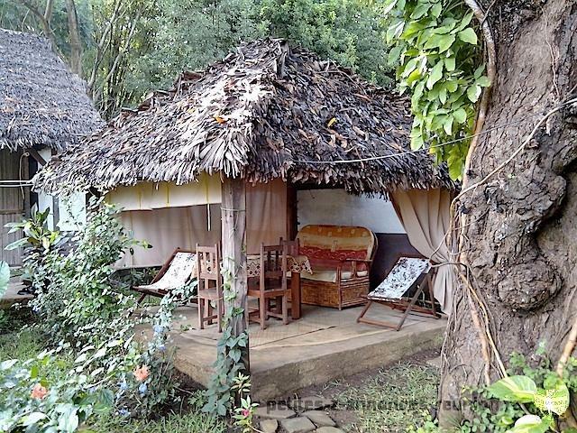 Maison au calme dans un cadre tropical, proche plage