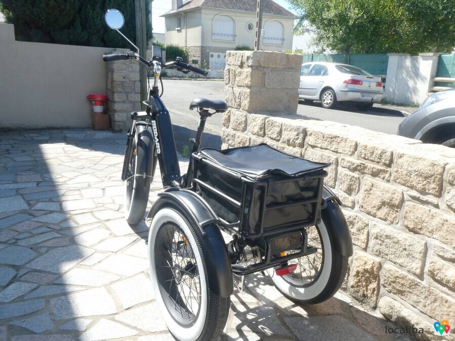 Tricycle adulte assistance électrique marque RODARS-BIKELEC