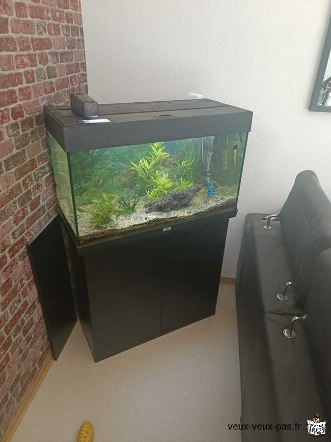 vend aquarium sur son meuble juwel125 complet