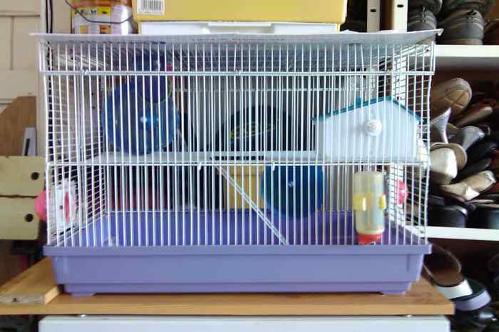 vends cage hamster.